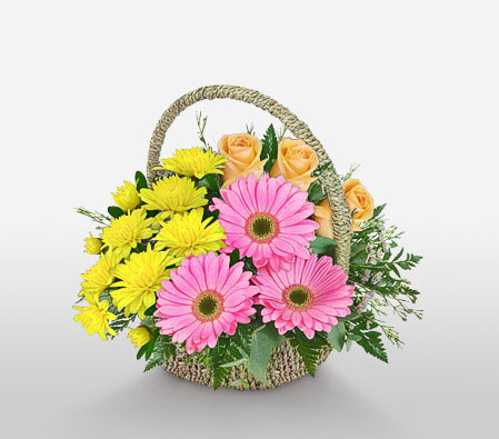 Magic Morning-Mixed,Peach,Pink,Yellow,Chrysanthemum,Daisy,Gerbera,Mixed Flower,Rose,Arrangement,Basket