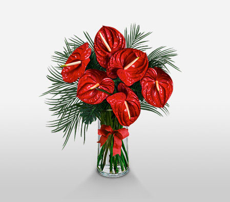 Festive Holiday Arrangement-Red,Anthuriums,Arrangement