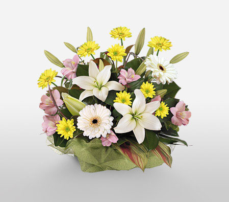 Freesia Frenzy-Pink,White,Yellow,Daisy,Gerbera,Lily,Arrangement