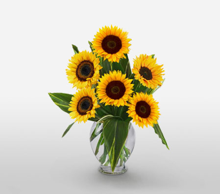 Cartagena Summer-Yellow,SunFlower,Arrangement