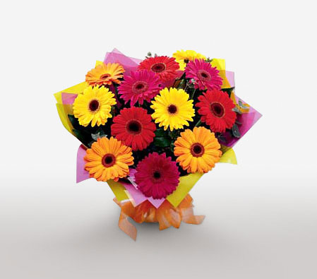 Rainbow Burst of Gerberas-Mixed,Orange,Pink,Red,Yellow,Daisy,Gerbera,Bouquet