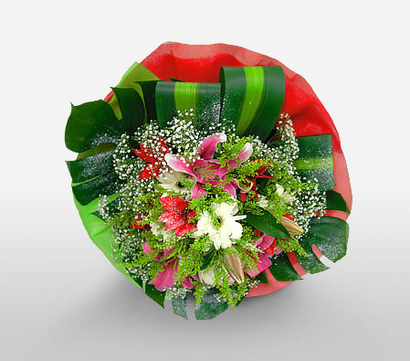 Sparkler-Green,Pink,White,Daisy,Gerbera,Lily,Bouquet