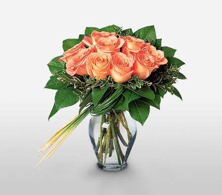 12 Peach Roses-Peach,Rose,Arrangement