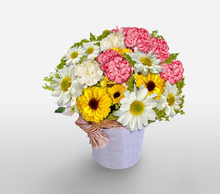 Florianopolis Fusion-Mixed,Mixed Flower,Arrangement