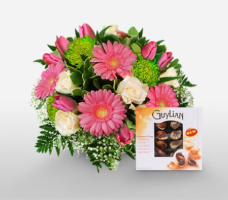 Royal Celebrations-Green,Pink,White,Chocolate,Daisy,Gerbera,Rose,Bouquet