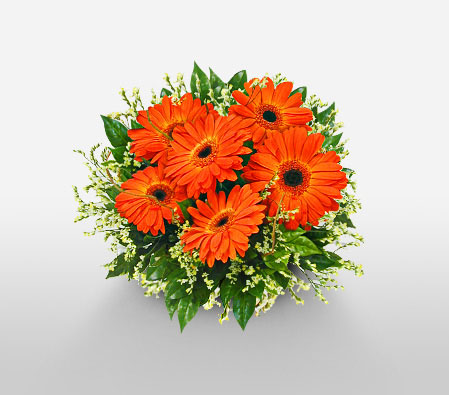 Orange Crush-Orange,Gerbera,Arrangement