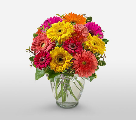 Assorted Gerberas-Mixed,Orange,Pink,Red,Yellow,Daisy,Gerbera,Arrangement