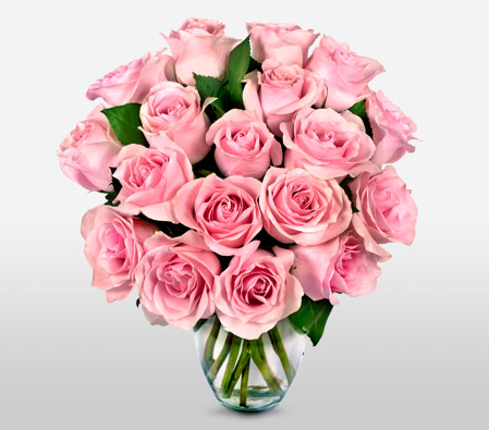 Dozen Pink Roses-Pink,Rose,Bouquet