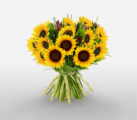 Sunny Treats-Yellow,SunFlower,Bouquet