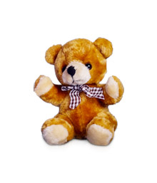 Brown Cuddly Toy