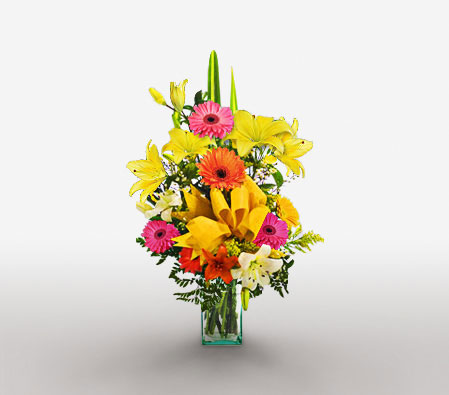 Amazon Allure-Mixed,Pink,Red,Yellow,Alstroemeria,Gerbera,Lily,Mixed Flower,Arrangement