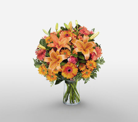 Santa Marta-Orange,Gerbera,Lily,Arrangement