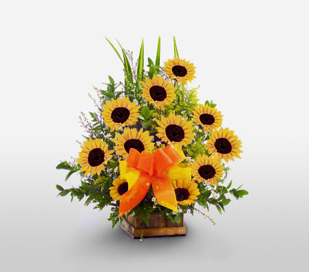 Salsa Dazzle-Yellow,SunFlower,Arrangement