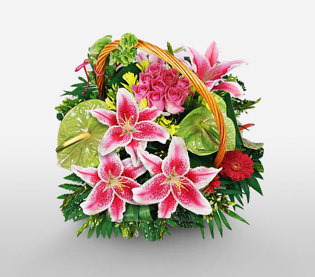 Eclectic Euphoria-Green,Mixed,Pink,Gerbera,Lily,Mixed Flower,Rose,Arrangement