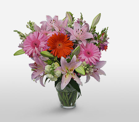 Perfect Smile-Orange,Pink,Gerbera,Lily,Arrangement