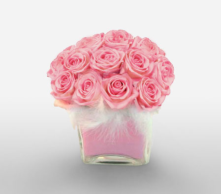 Plettenberg Trends-Pink,Rose,Arrangement