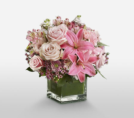 Pink Blush-Pink,Lily,Rose,Arrangement