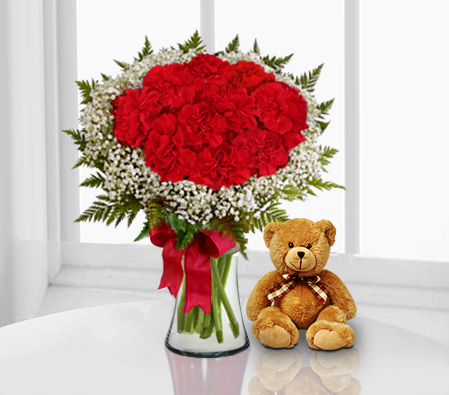 Bella Sweetheart - Red Carnations + Teddy-Red,Carnation,Bouquet