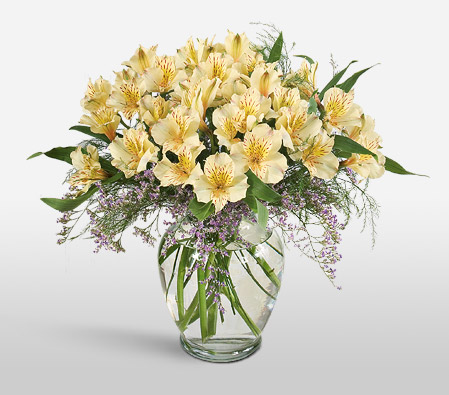 Peruvian Dream-Yellow,Alstroemeria,Arrangement,Bouquet