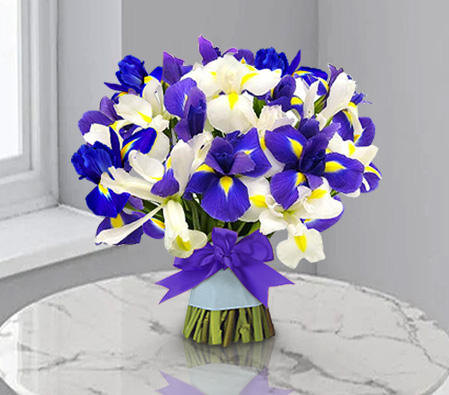 Spectacular Iris-Blue,White,Iris,Bouquet