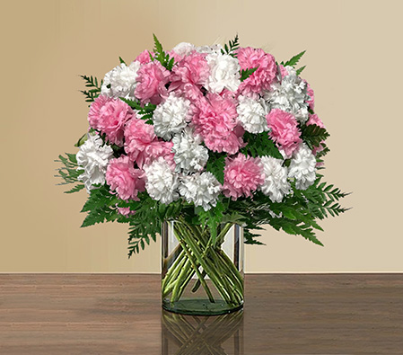 Perplex-Pink,White,Carnation,Bouquet