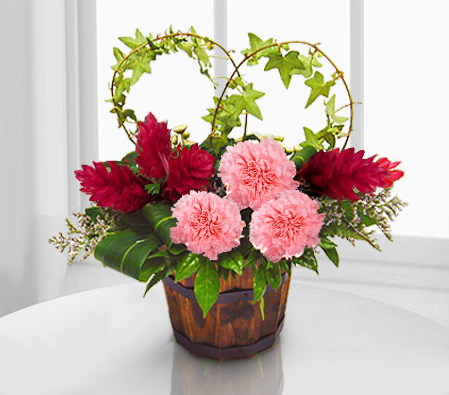 Park Club-Green,Pink,Red,Carnation,Arrangement