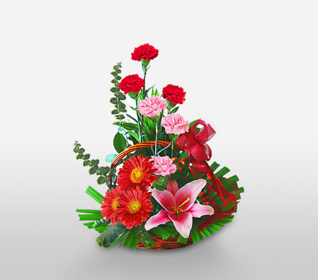 Dearest One-Pink,Red,Daisy,Gerbera,Lily,Arrangement