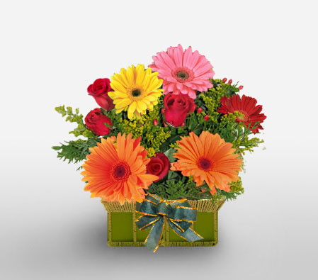 Beau Reveur-Mixed,Orange,Pink,Red,Yellow,Daisy,Gerbera,Rose,Arrangement