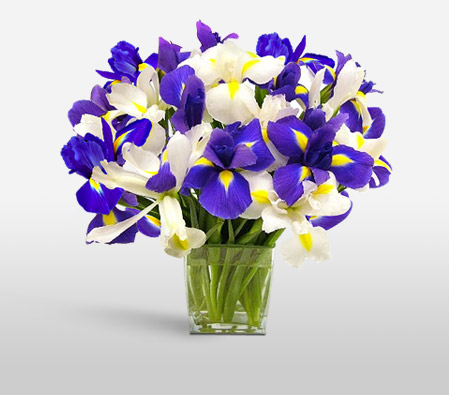 Ocean View-Blue,Mixed,White,Iris,Arrangement