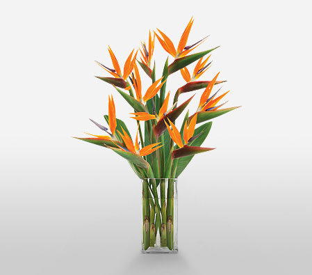 Paradise Perfection-Yellow,Birds of Paradise,Bouquet