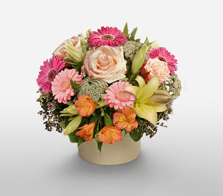 Cosmo-Peach,Pink,Gerbera,Lily,Rose,Arrangement