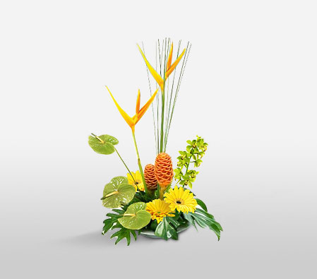 Modern Classic-Orange,Yellow,Birds of Paradise,Daisy,Gerbera,Arrangement