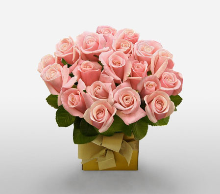 Imperial Majesty-Peach,Rose,Arrangement