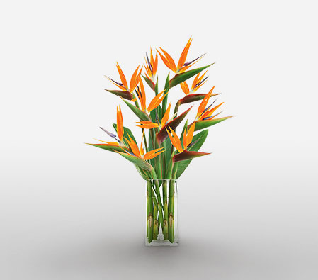 Paradise Perfection-Orange,Birds of Paradise,Arrangement